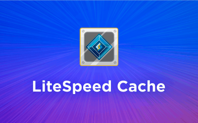 What is LiteSpeed Cache and How It Can Give Your Website a Boost?