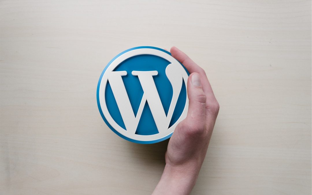 How to Choose the Right WordPress Care Plan For Your Business
